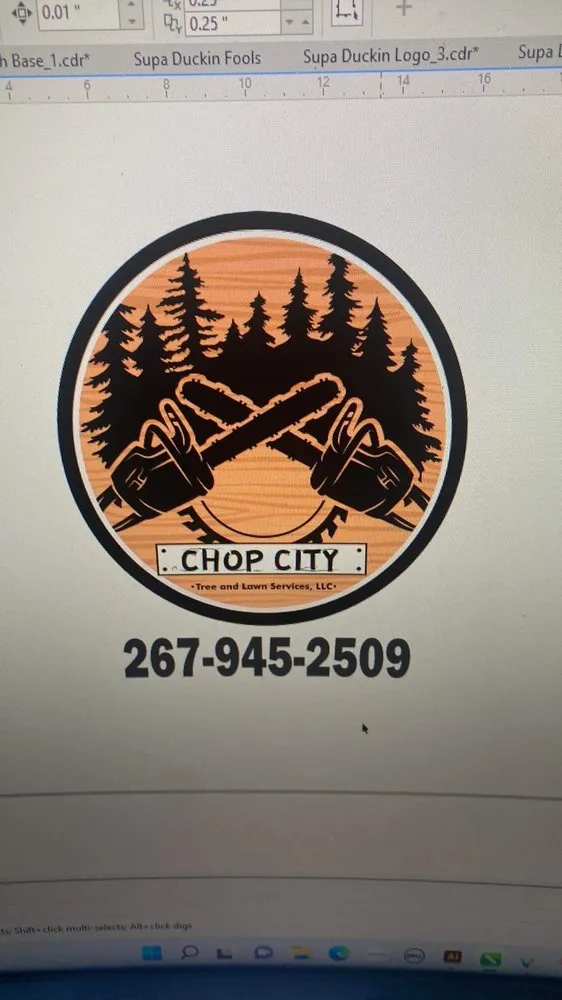 Top-rated yard maintenance in Willow Grove, PA by Chop City Tree and Lawn Service