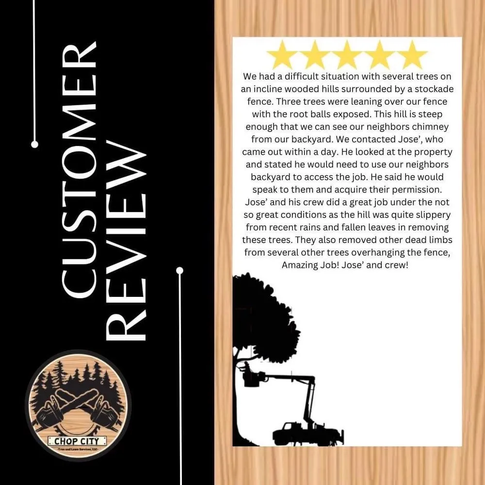 Reliable yard maintenance with custom design in Willow Grove, PA by Chop City Tree and Lawn Service