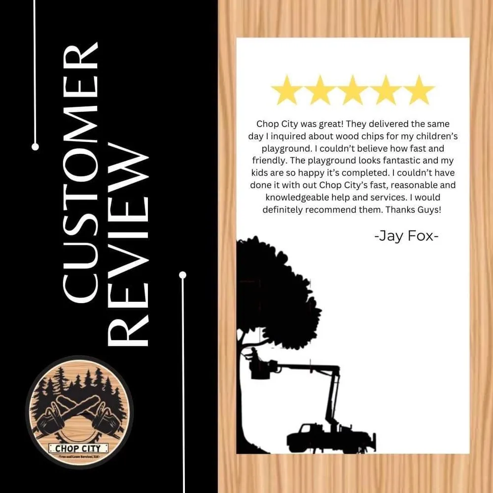 Custom yard maintenance for beautiful yards in Willow Grove, PA by Chop City Tree and Lawn Service