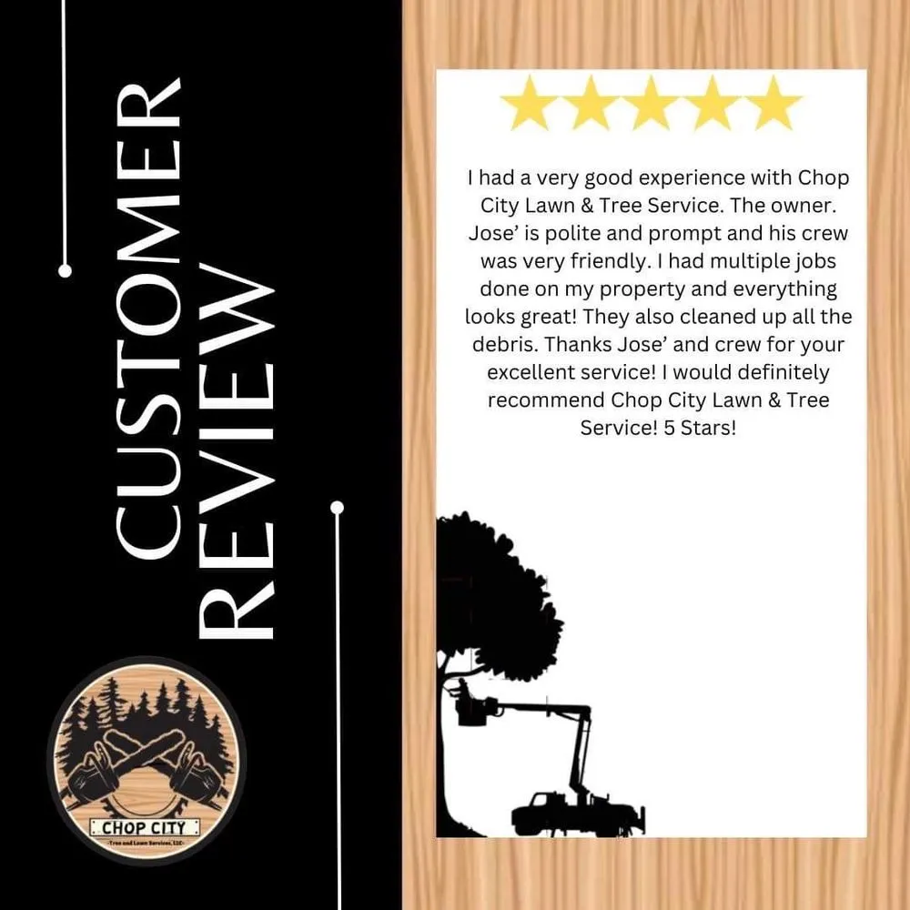 Professional lawn care service for homes in Willow Grove, PA by Chop City Tree and Lawn Service