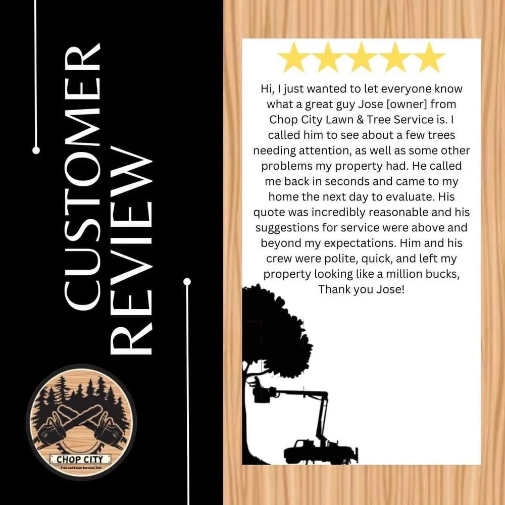 Reliable garden landscaping for year-round maintenance across Willow Grove, PA - Chop City Tree and Lawn Service