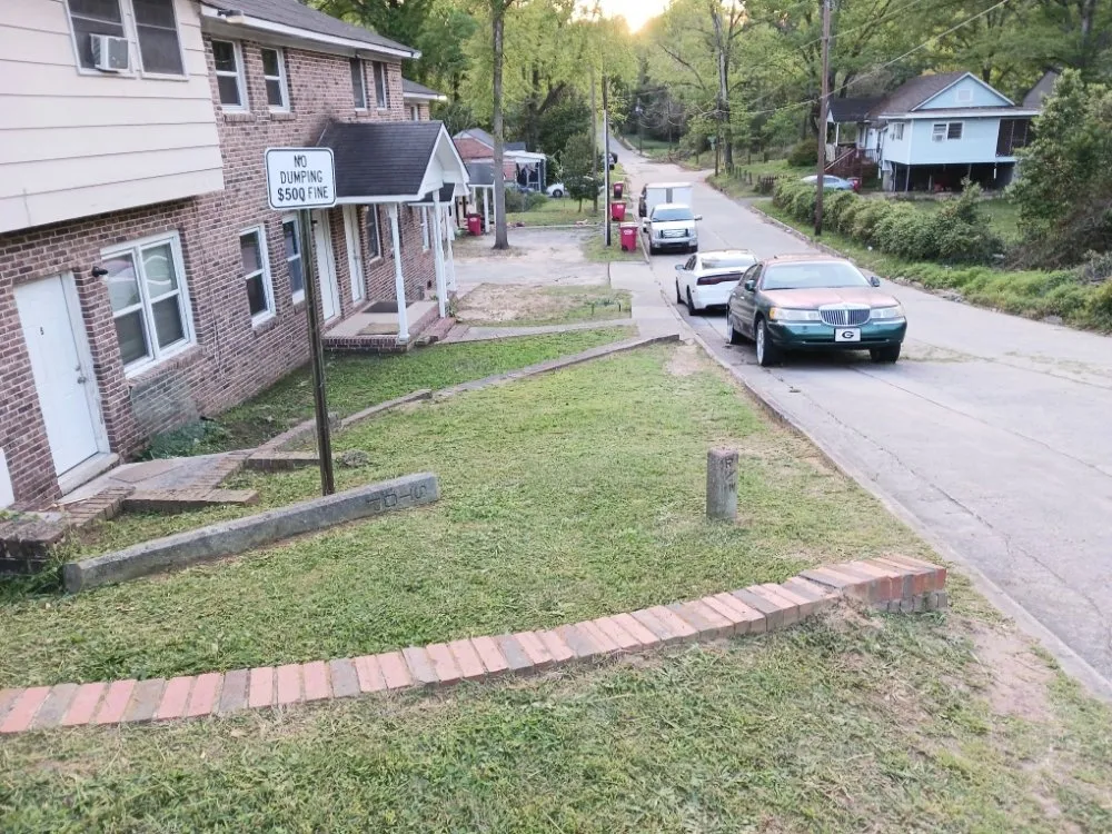 Local yard cleanup service in Macon, GA - Chop it down landscaping