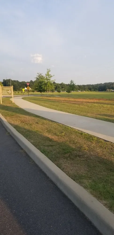 Custom landscape design in Macon, GA by Chop it down landscaping