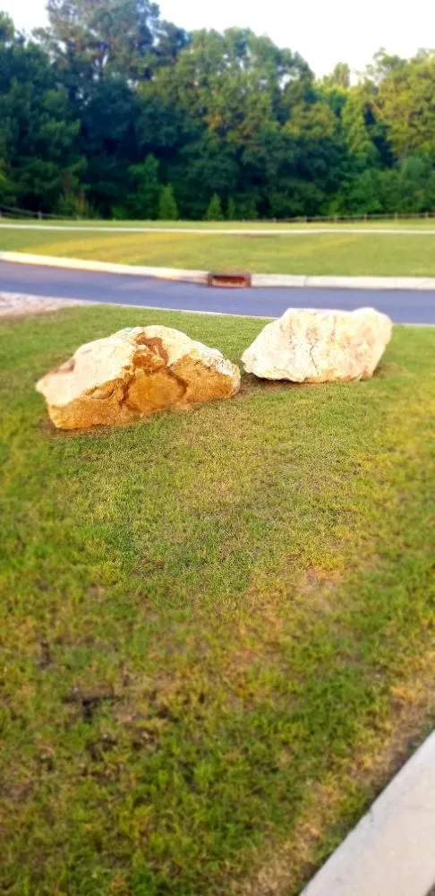 Trusted outdoor landscaping in Macon, GA by Chop it down landscaping