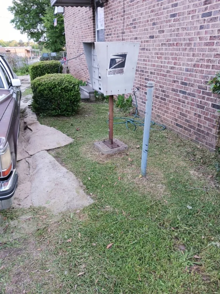 Professional yard cleanup service in Macon, GA by Chop it down landscaping