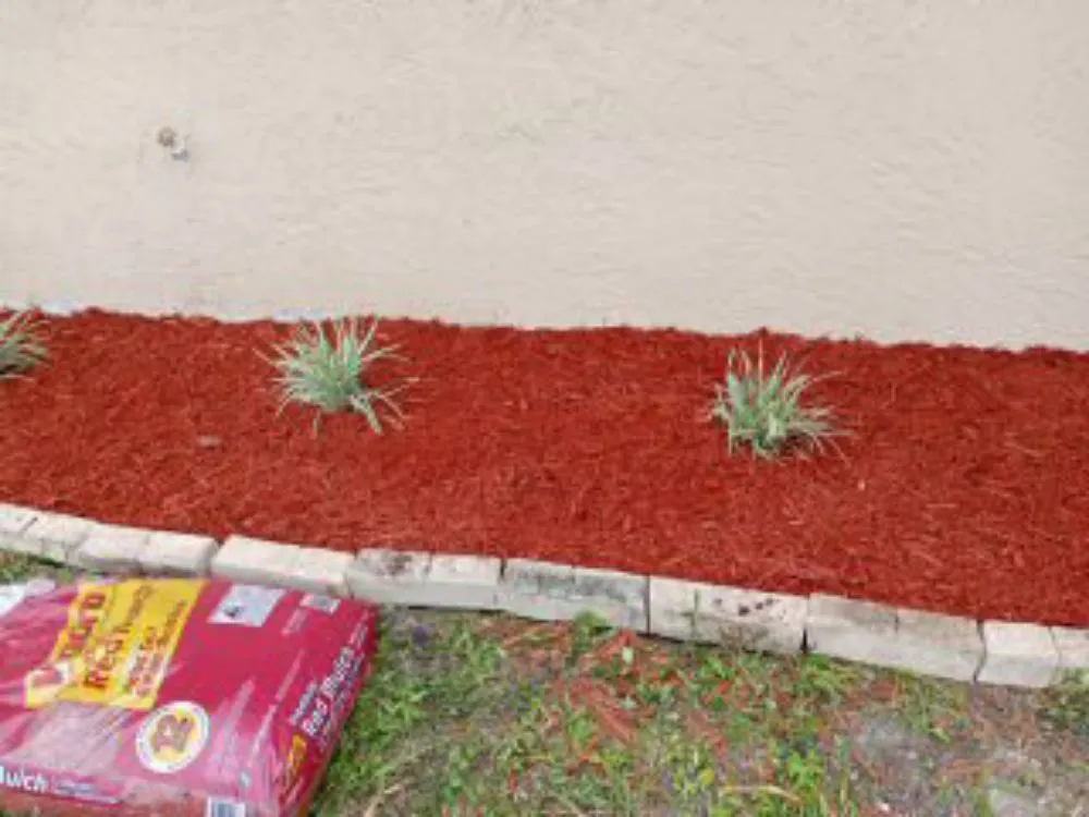 Reliable yard cleanup service in Melbourne, FL - Chop It Up Landscaping