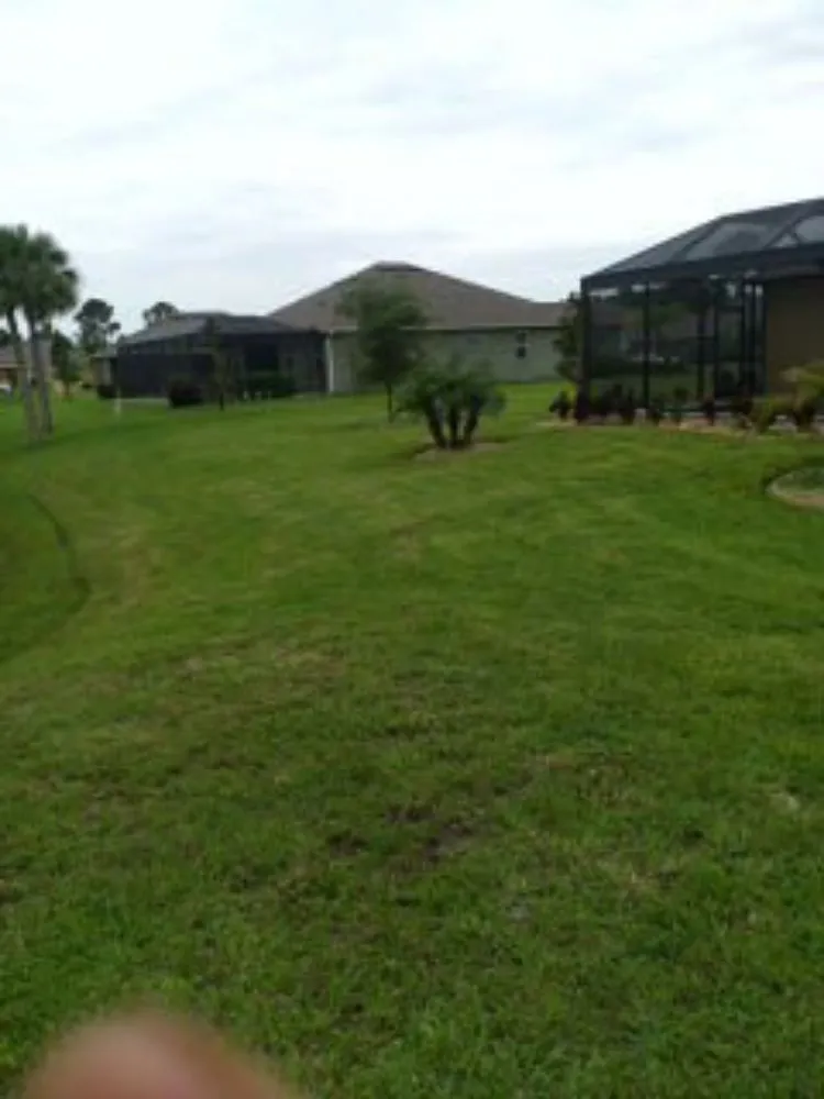 Local yard maintenance experts serving Melbourne, FL - Chop It Up Landscaping