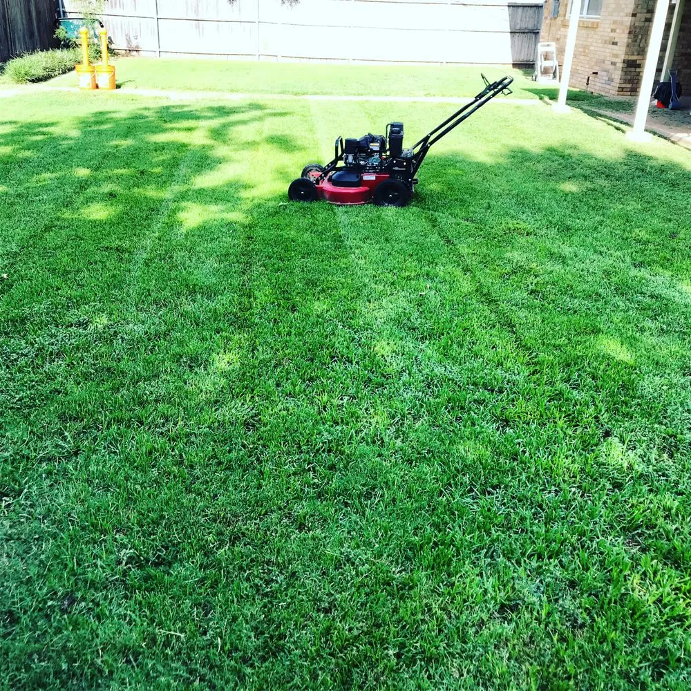 Local residential landscaping for residential properties across Lubbock, TX - Choppin Blades Lawn Care
