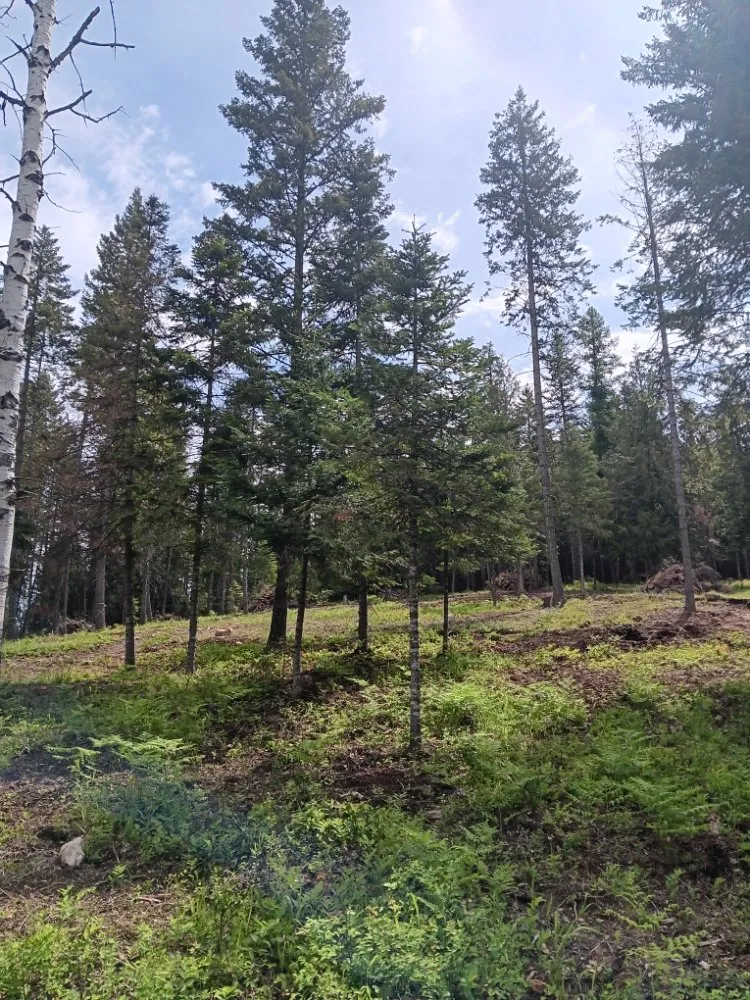 Custom landscape installation in Coeur D'alene, ID by Chopping Block