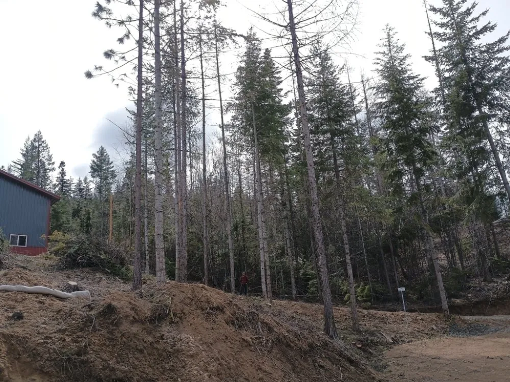 Trusted yard maintenance for homes across Coeur D'alene, ID - Chopping Block