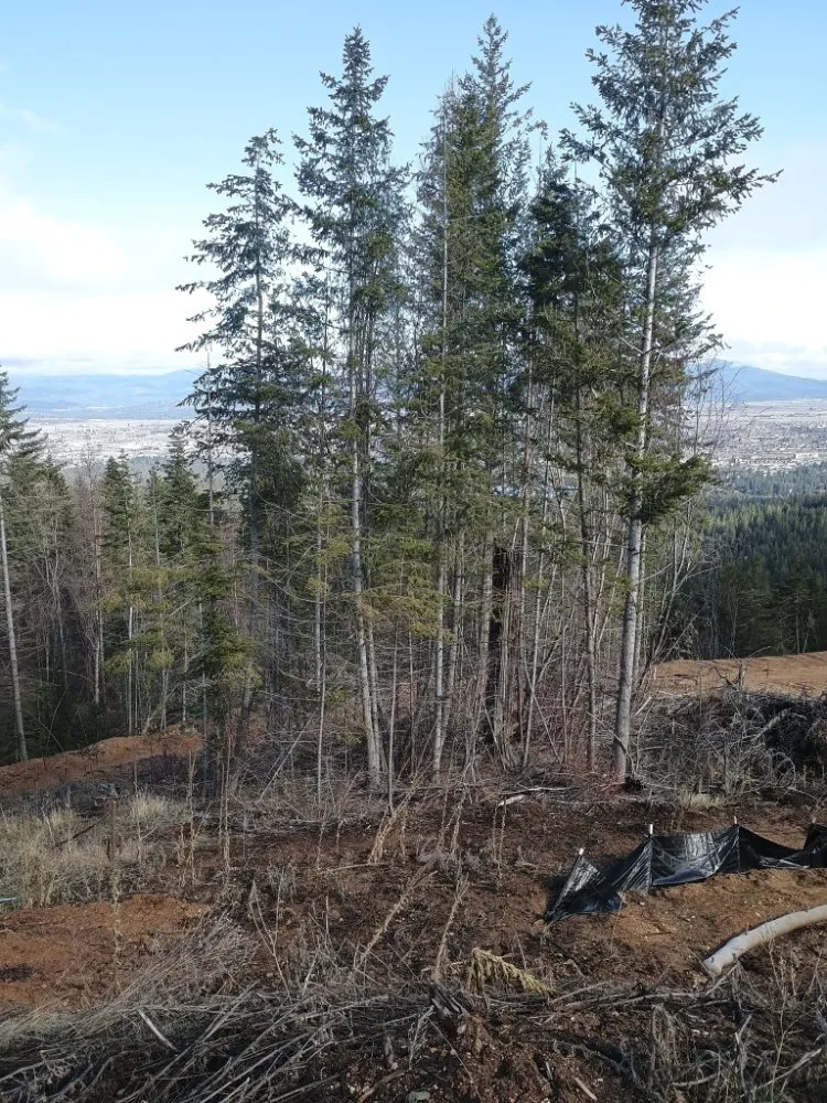 Custom yard cleanup service in Coeur D'alene, ID by Chopping Block