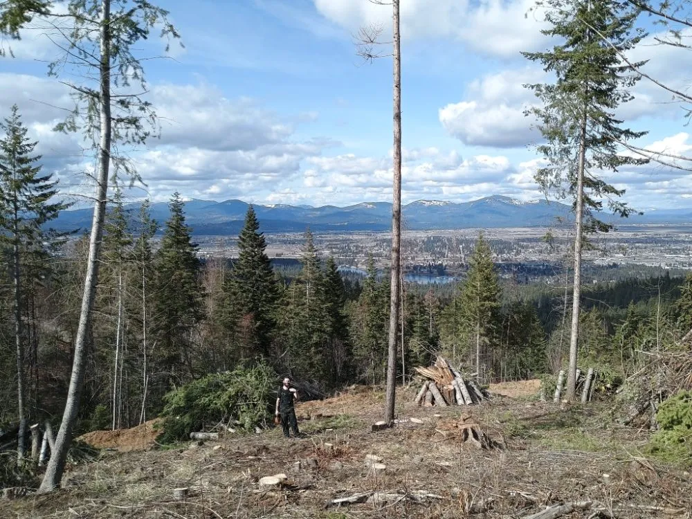 Top-rated yard cleanup service with custom design in Coeur D'alene, ID by Chopping Block