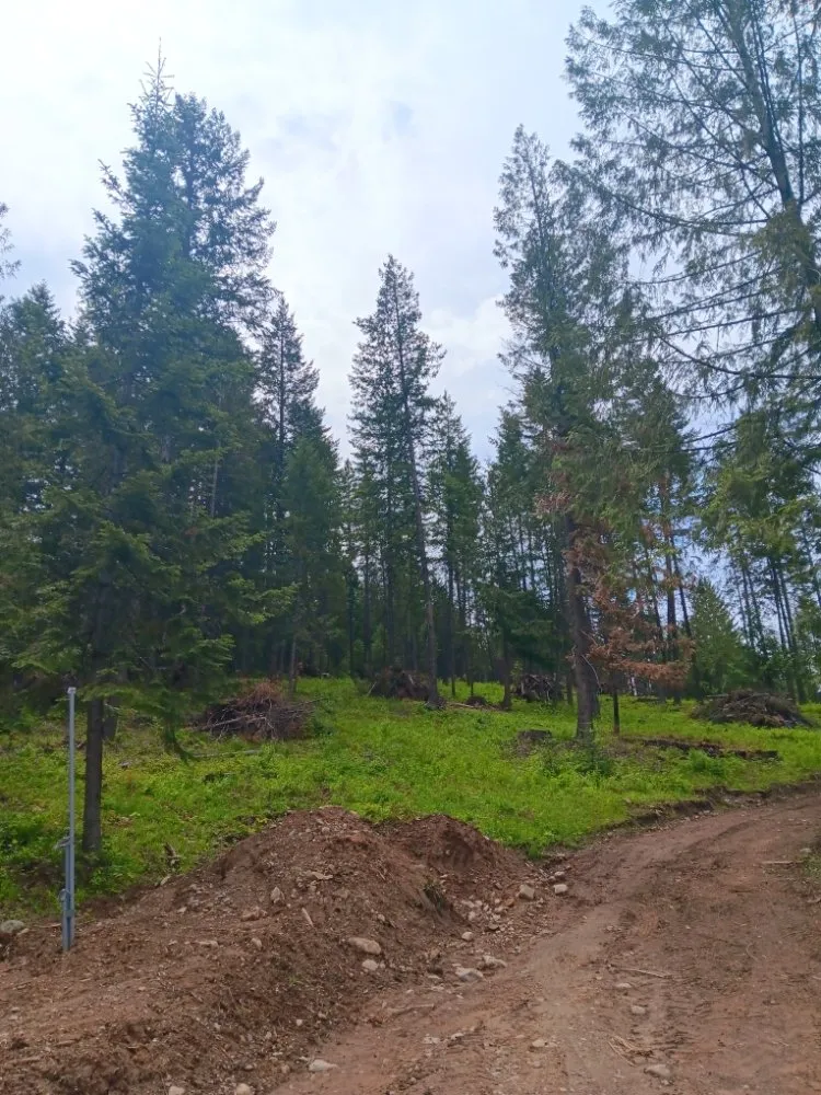 Professional landscaping services experts serving Coeur D'alene, ID - Chopping Block