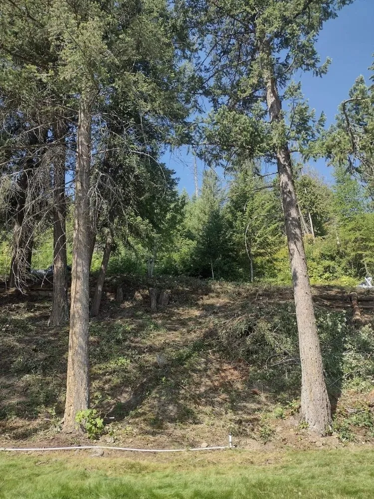 Professional garden landscaping experts serving Coeur D'alene, ID - Chopping Block