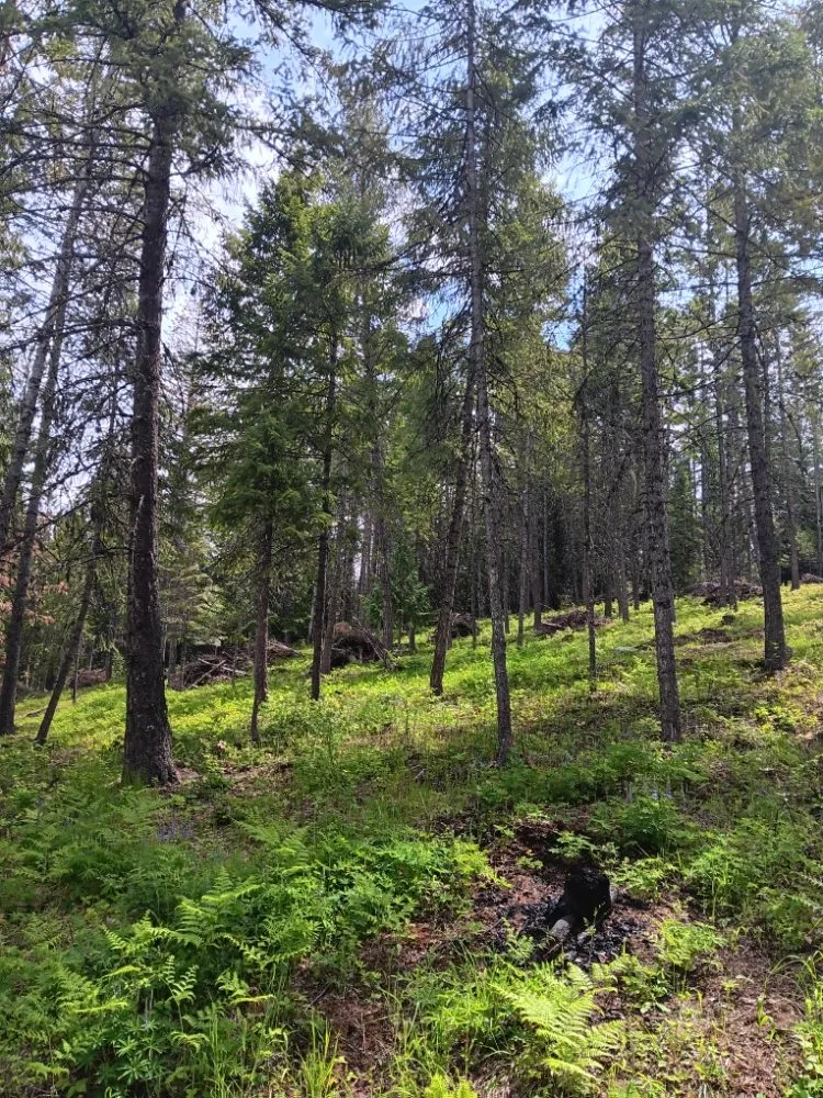 Professional garden landscaping experts serving Coeur D'alene, ID - Chopping Block