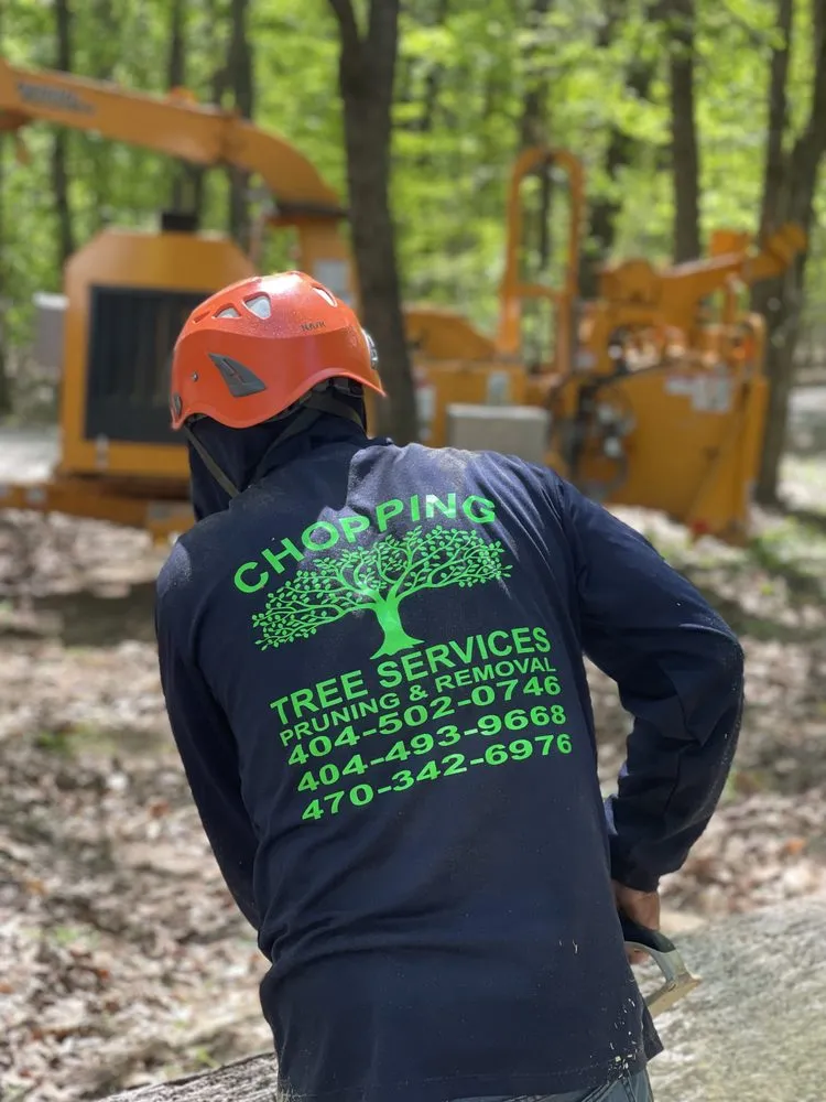 Professional outdoor landscaping for year-round maintenance in Gwinnett, GA by Chopping Tree Services