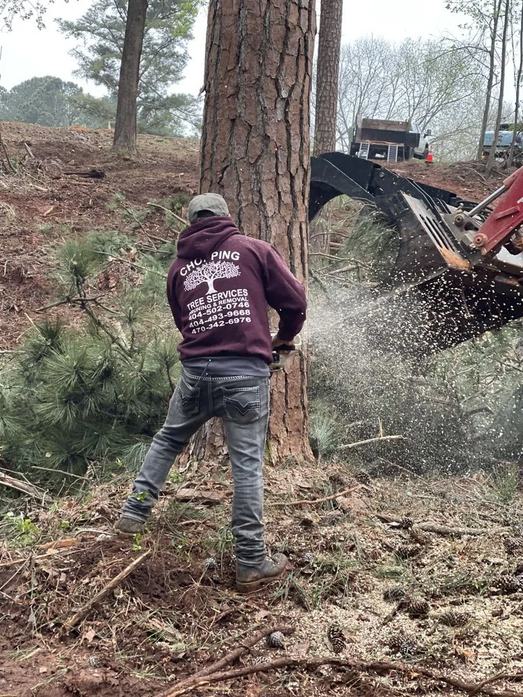 Top-rated landscaping services for residential properties across Gwinnett, GA - Chopping Tree Services