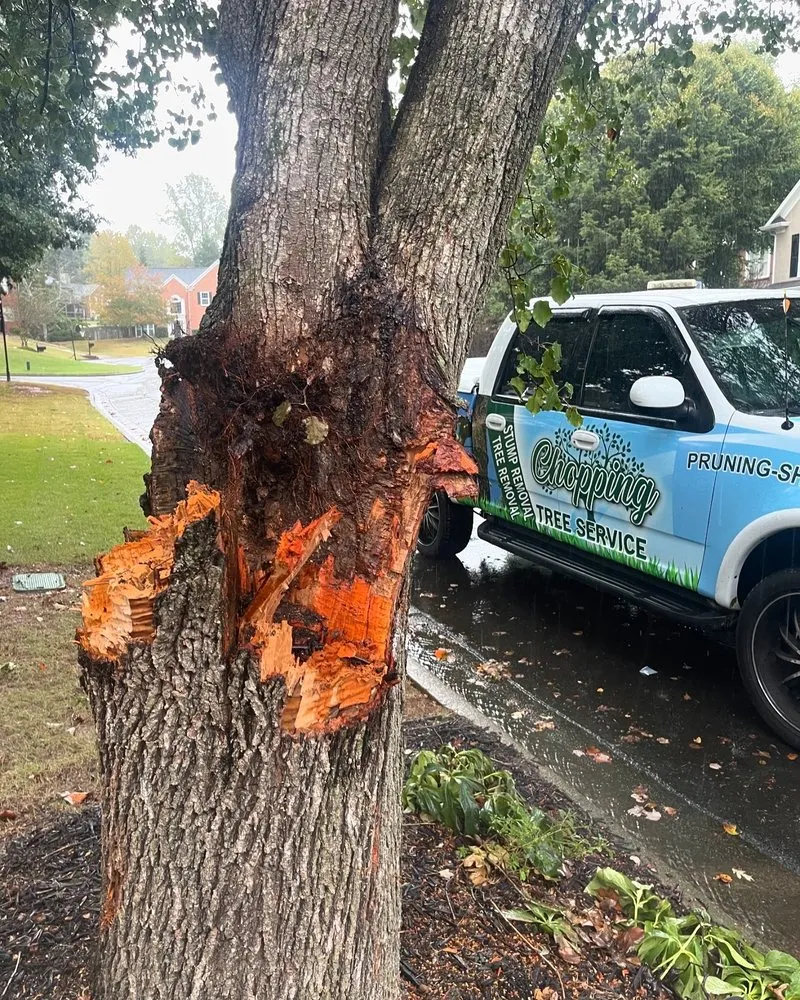 Reliable landscape installation experts serving Gwinnett, GA - Chopping Tree Services