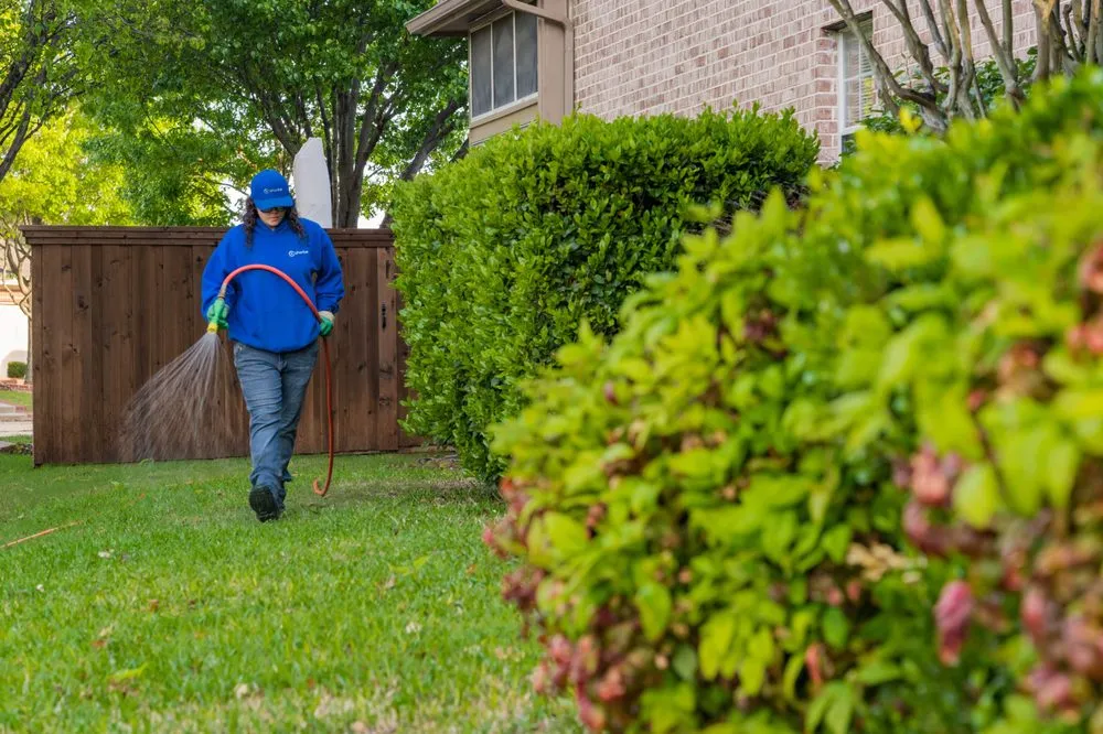 Custom residential landscaping experts serving Frisco, TX - Chorbie