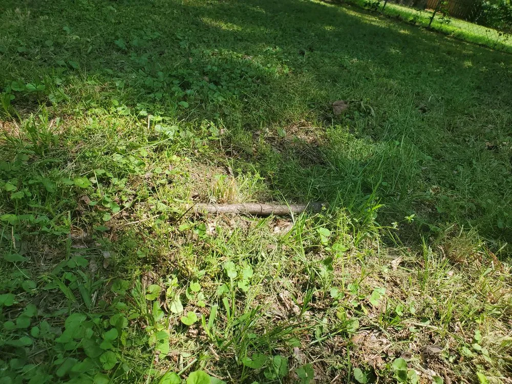 Custom yard maintenance in Frisco, TX by Chorbie