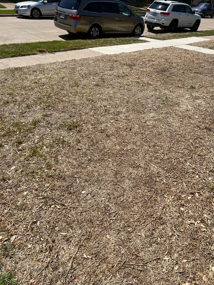 Custom outdoor landscaping in Frisco, TX by Chorbie