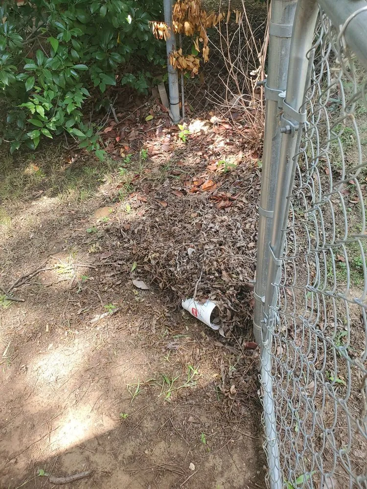 Custom lawn care service for year-round maintenance across Frisco, TX - Chorbie