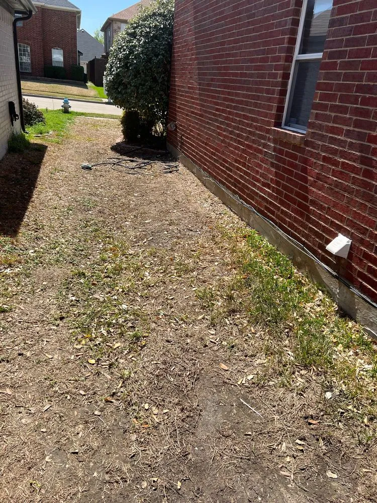 Local yard maintenance experts serving Frisco, TX - Chorbie