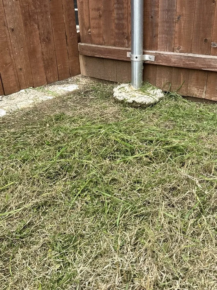 Custom garden landscaping in Frisco, TX by Chorbie