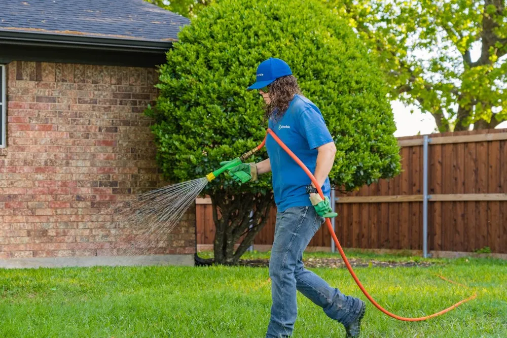 Professional outdoor landscaping in Frisco, TX - Chorbie