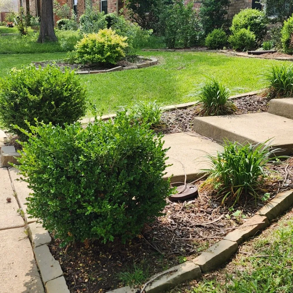 Top-rated outdoor landscaping in Heath, TX by Choremen Signature