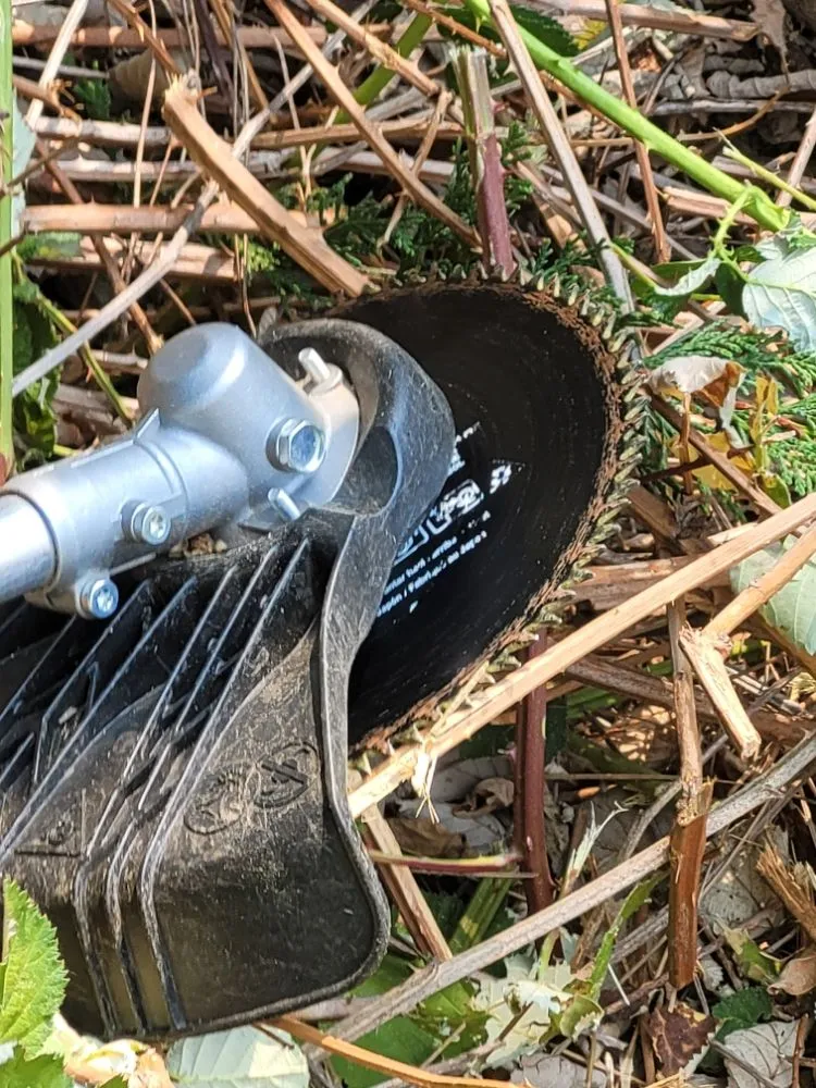 Reliable outdoor landscaping in Vancouver, WA by Chores