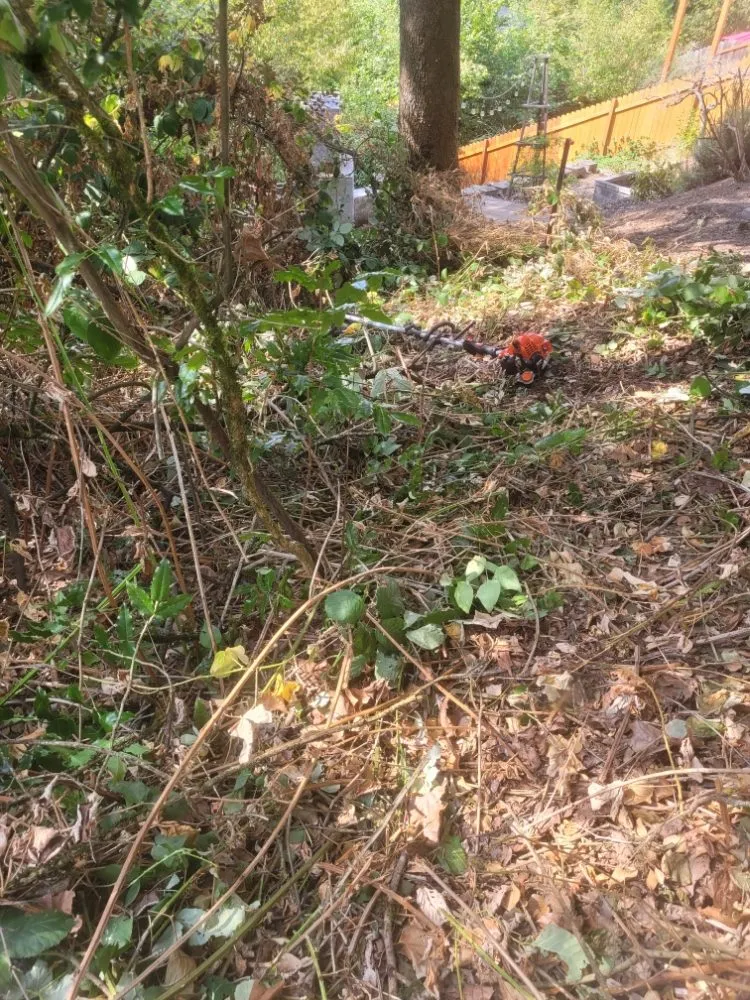 Expert garden landscaping in Vancouver, WA - Chores