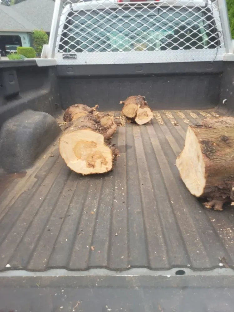 Reliable outdoor landscaping experts serving Vancouver, WA - Chores