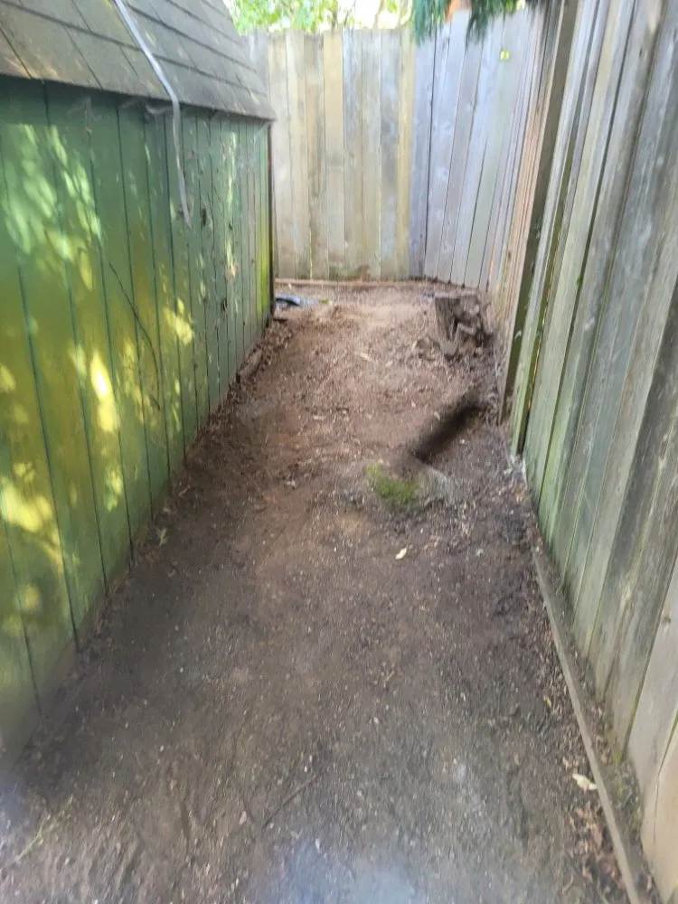 Trusted yard cleanup service in Vancouver, WA by Chores