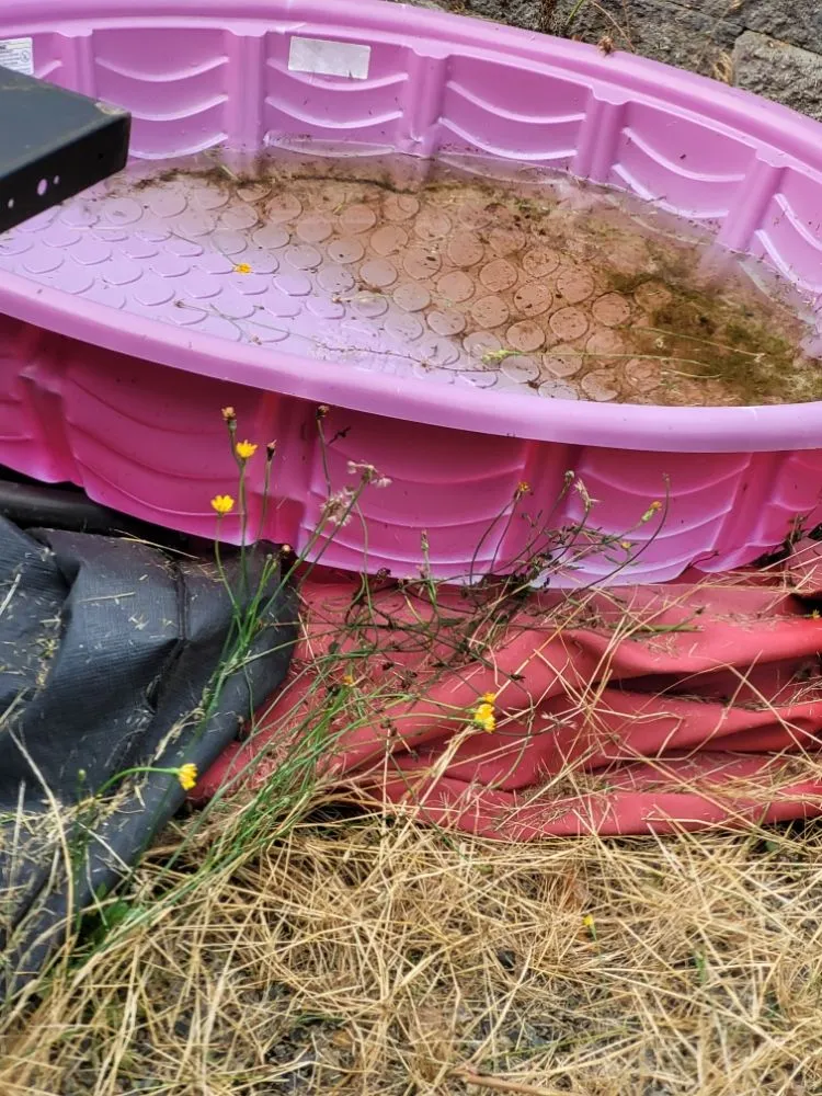 Trusted garden landscaping in Vancouver, WA by Chores