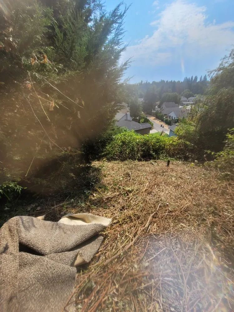 Top-rated yard maintenance in Vancouver, WA - Chores