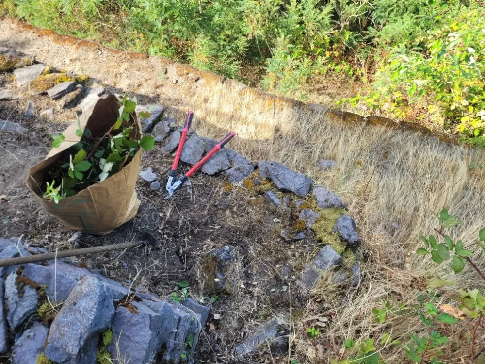 Reliable yard cleanup service for beautiful yards in Vancouver, WA by Chores