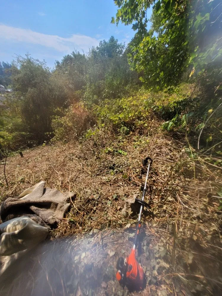 Affordable landscaping services in Vancouver, WA - Chores