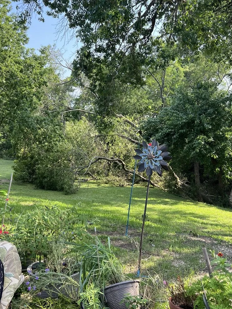 Reliable residential landscaping experts serving Robinson, TX - Chosen Lawn & Tree Service