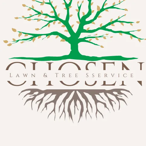 Expert lawn mowing service near you in Robinson, TX by Chosen Lawn & Tree Service