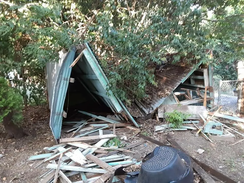 Trusted yard cleanup service in Robinson, TX - Chosen Lawn & Tree Service