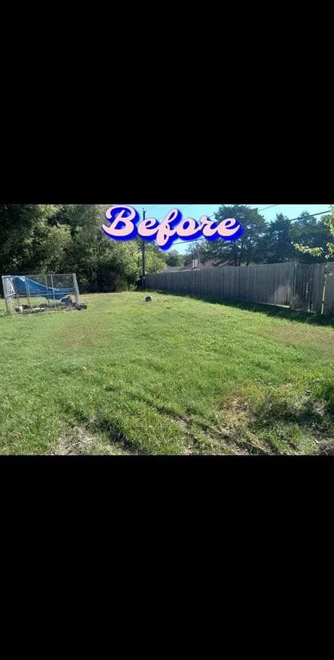 Custom yard cleanup service experts serving Robinson, TX - Chosen Lawn & Tree Service