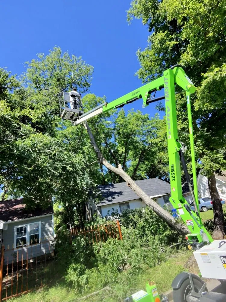 Custom residential landscaping experts serving Robinson, TX - Chosen Lawn & Tree Service