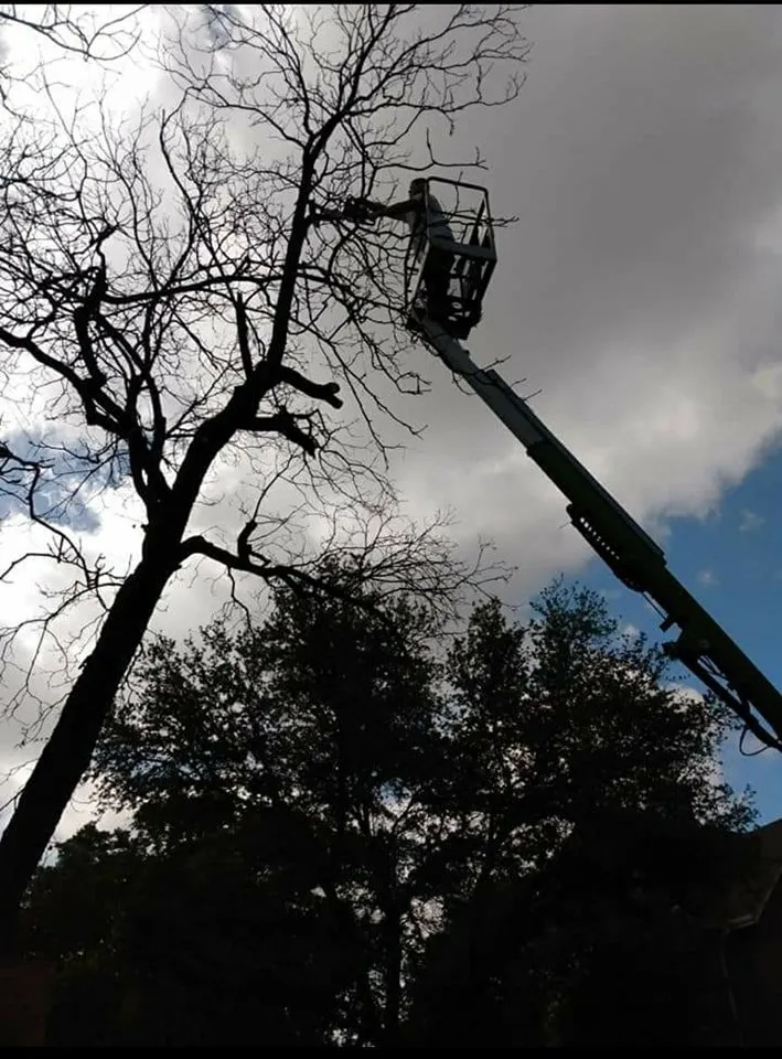 Expert garden landscaping for homes across Robinson, TX - Chosen Lawn & Tree Service