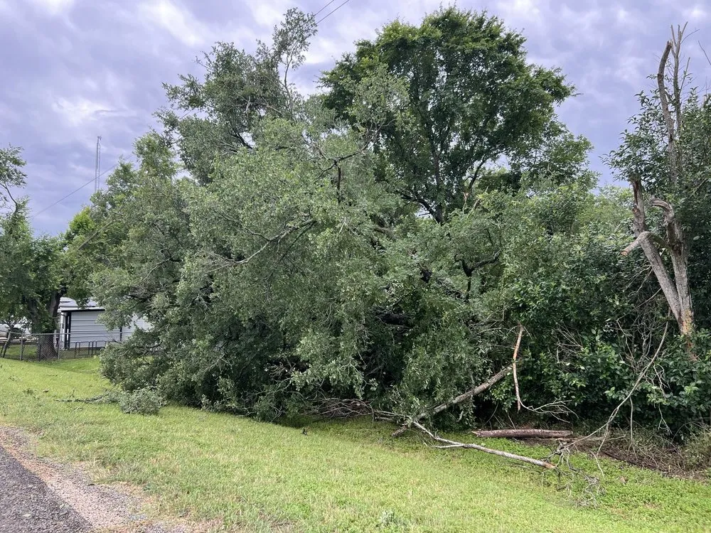 Professional residential landscaping experts serving Robinson, TX - Chosen Lawn & Tree Service