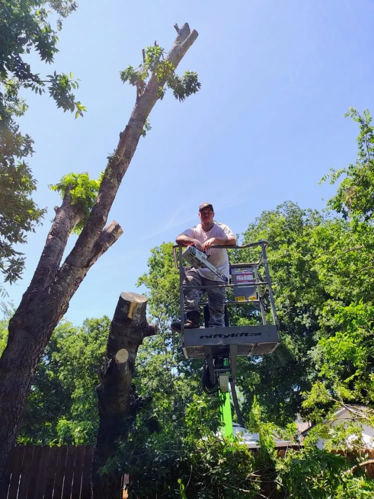 Affordable lawn mowing service in Robinson, TX - Chosen Lawn & Tree Service