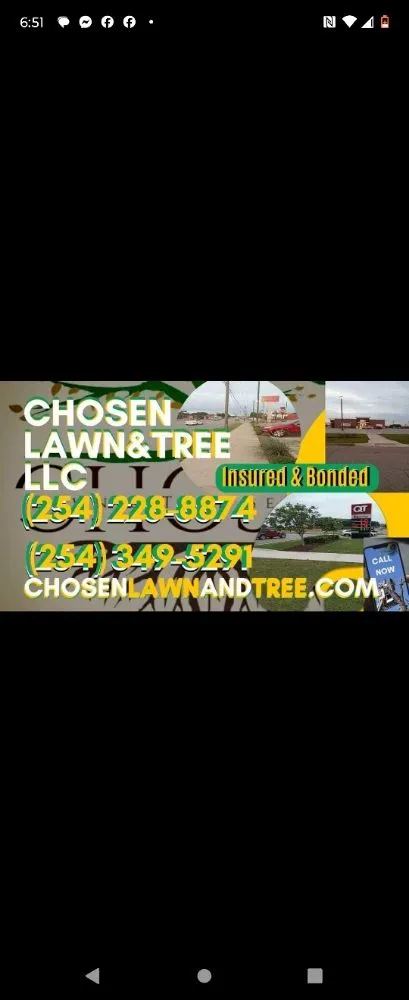 Affordable yard cleanup service in Robinson, TX - Chosen Lawn & Tree Service