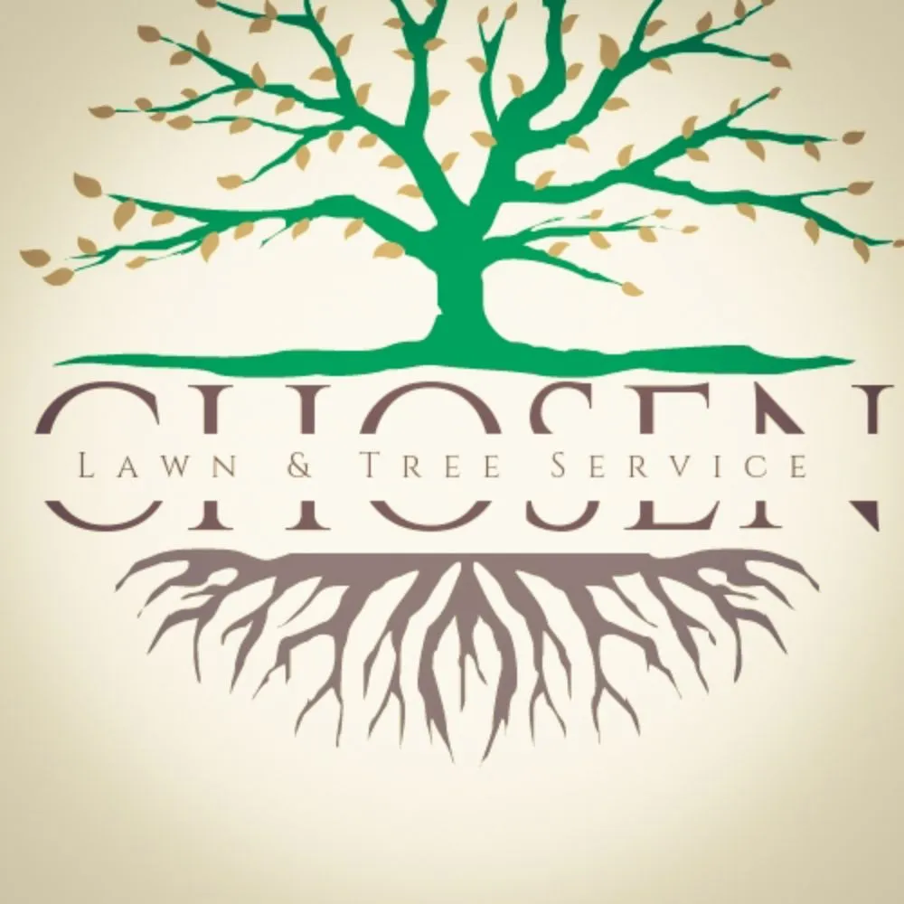 Reliable lawn mowing service with custom design in Robinson, TX by Chosen Lawn & Tree Service