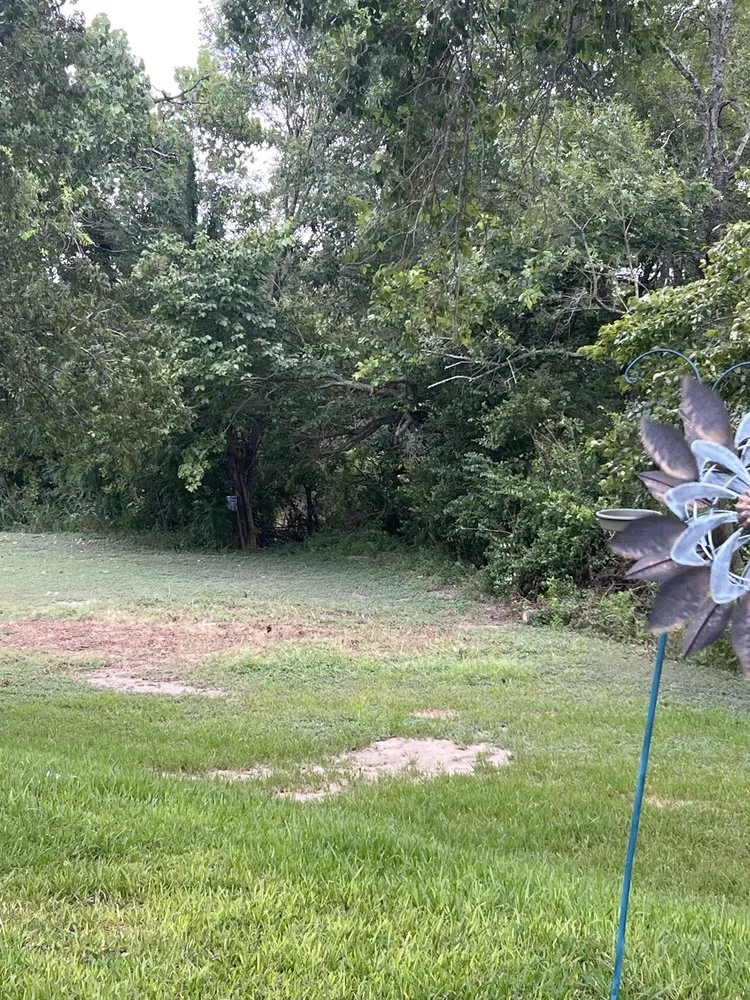 Local yard maintenance for homes in Robinson, TX by Chosen Lawn & Tree Service