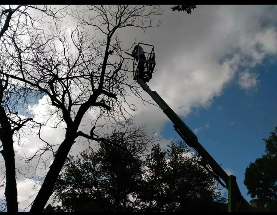 Trusted landscape design with custom design in Robinson, TX by Chosen Lawn & Tree Service